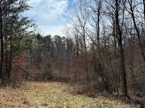 Photo for East Side State Route 335