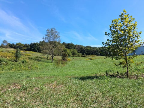 Photo for 7228 Symmes Creek Road