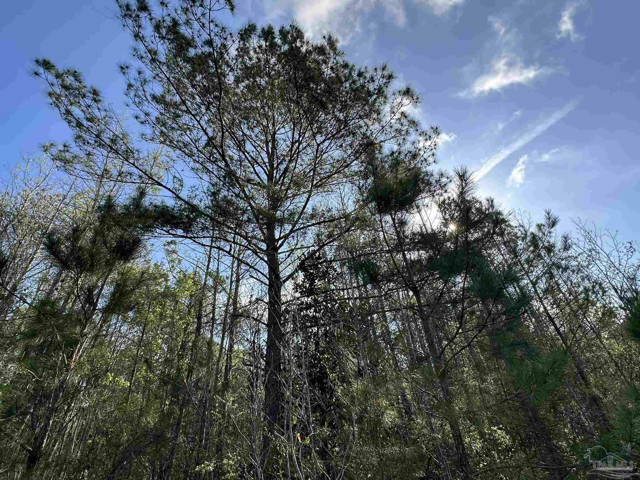 Photo 1 of 11 — Lot E Snider Rd, Frisco City, AL 36445