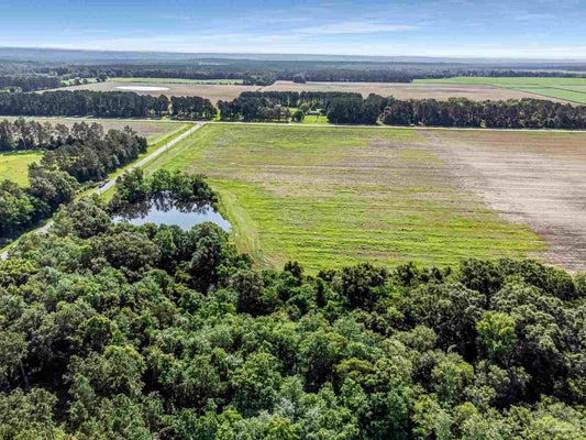 TUNGOIL RD 3, MCDAVID, FL 32568 - Image 0544d1cd6cbb2f719e95047fbc45d430/3423852833