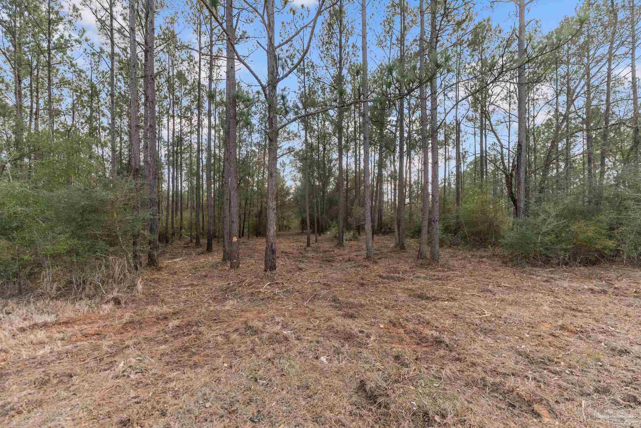 Photo 1 of 24 — Lot #10 Bermuda Ln, Seminole, AL 36574