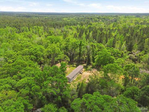 4000 Gadzooks Ln Jay FL 32565