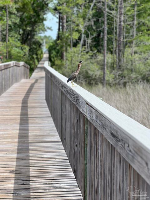 A home in Perdido Key