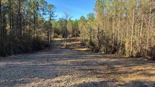 CEDAR RIDGE CIR, MILTON, FL 32570 - Image 39069e15f42d7df0a9d9949fa51137a4/3369807263
