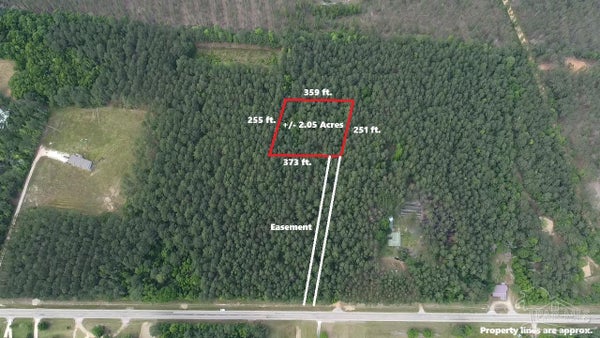 STATE RTE 59, URIAH, AL 36480 - Image 3c76e2fb1bb2ba75292aaeaca677e5de/1393718239