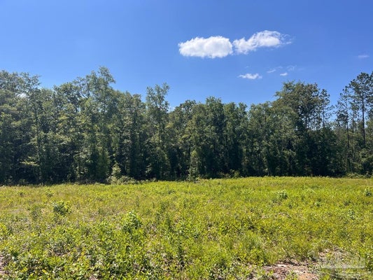 LOT 14-C HWY 29, MOLINO, FL 32577 - Image 43553653fbfe2fb7f600d3ee94cd56ab/1381006660
