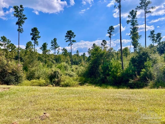 MORGAN LN, MOLINO, FL 32577 - Image 46aecbdacd5e7b470de07ca0d1888bcd/867627875