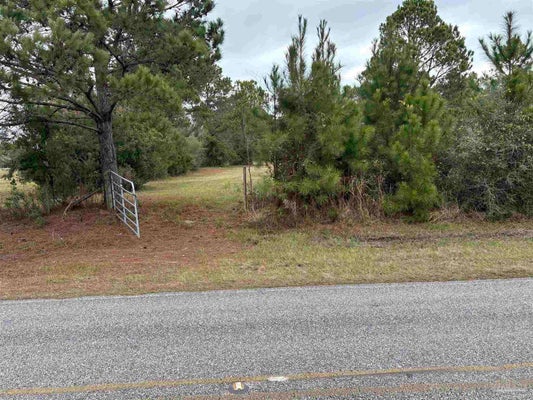 31849 RANDOLF AVE, LILLIAN, AL 36549 - Image 4ef90175e9bc1db6a28f1cd5c9bbcb00/87402893