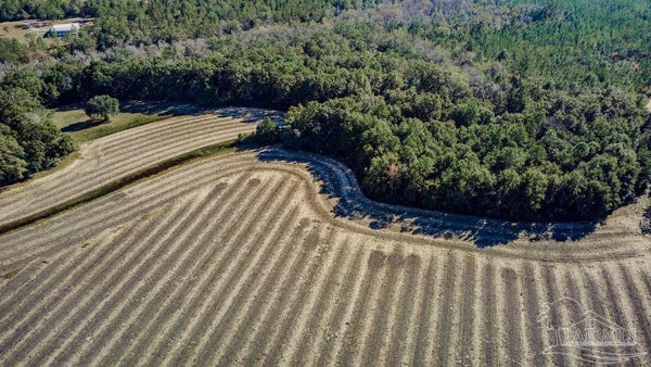 SEGREST RD, MILTON, FL 32571 - Image 4fe606a8fbb38e16ff2c88065de20d28/3389862877