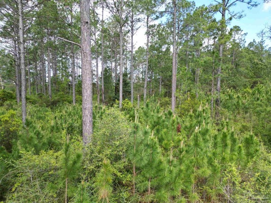 8201 GRIMES RD, CENTURY, FL 32535 - Image 50e1edfa09cc32f12a38dcb7e2ff0dcf/3735919438