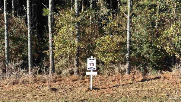 CEDAR RIDGE CIR, MILTON, FL 32570 - Image 57f2cc0da4f9c1c043df19fa171f2ab5/2277916367