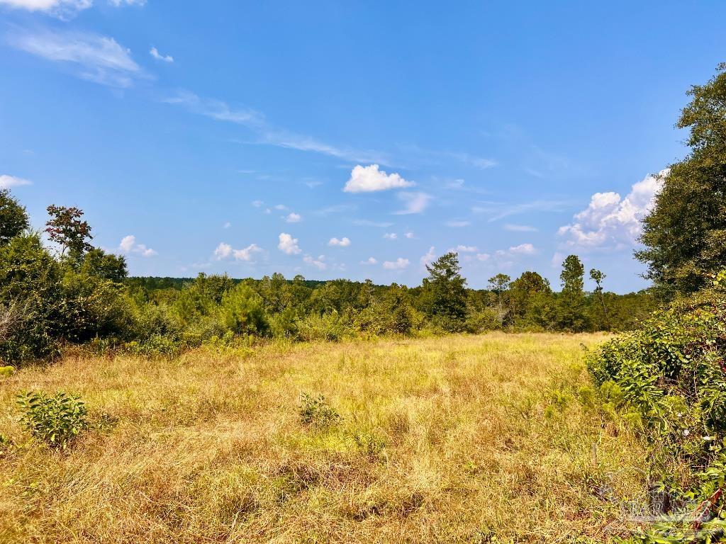 Photo 1 of 20 — Lot 16 Morgans Branch, Molino, FL 32577