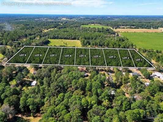 LOT 2 ROCKAWAY CREEK RD, ATMORE, AL 36502 - Image 58d3fcefbe0c2f73a4c1c4fa3fde4adf/1824349487