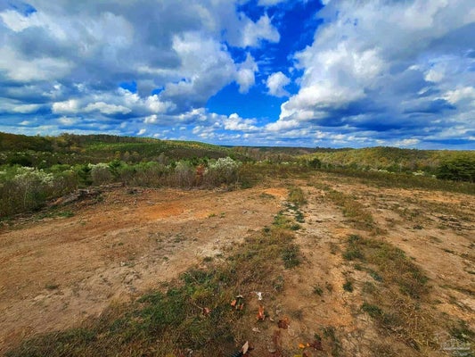 ADDRESS PRIVATE, SPANISH FORT, AL 36577 - Image 611bfe5bf7833f7f0ec00a4c341a9028/1691388540