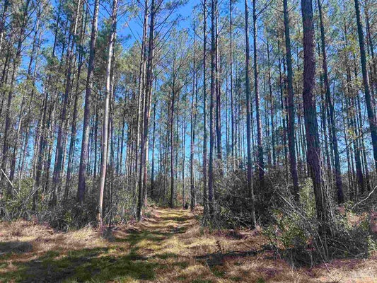 ROBINSONVILLE RD, ATMORE, AL 36502 - Image 62a3352d13daaa248f7a3e7b994ff9fb/3398290140