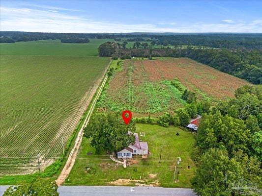 6700 CAMP HENDERSON RD, JAY, FL 32565 - Image 63fc8a231ec5b19e09a8775b4e5d4882/906342344