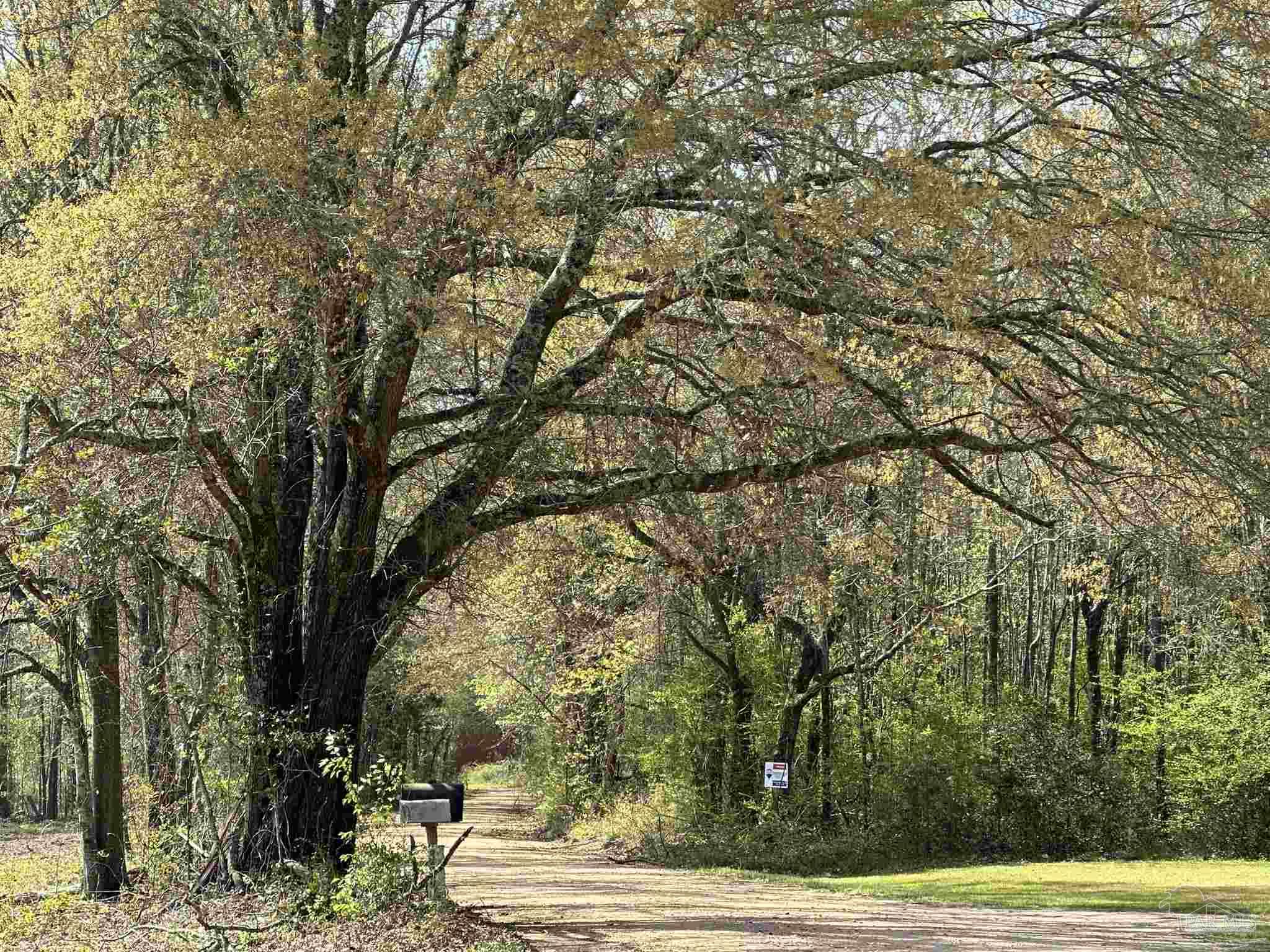 Photo 1 of 5 — Parcel G Lett Rd, Frisco City, AL 36445