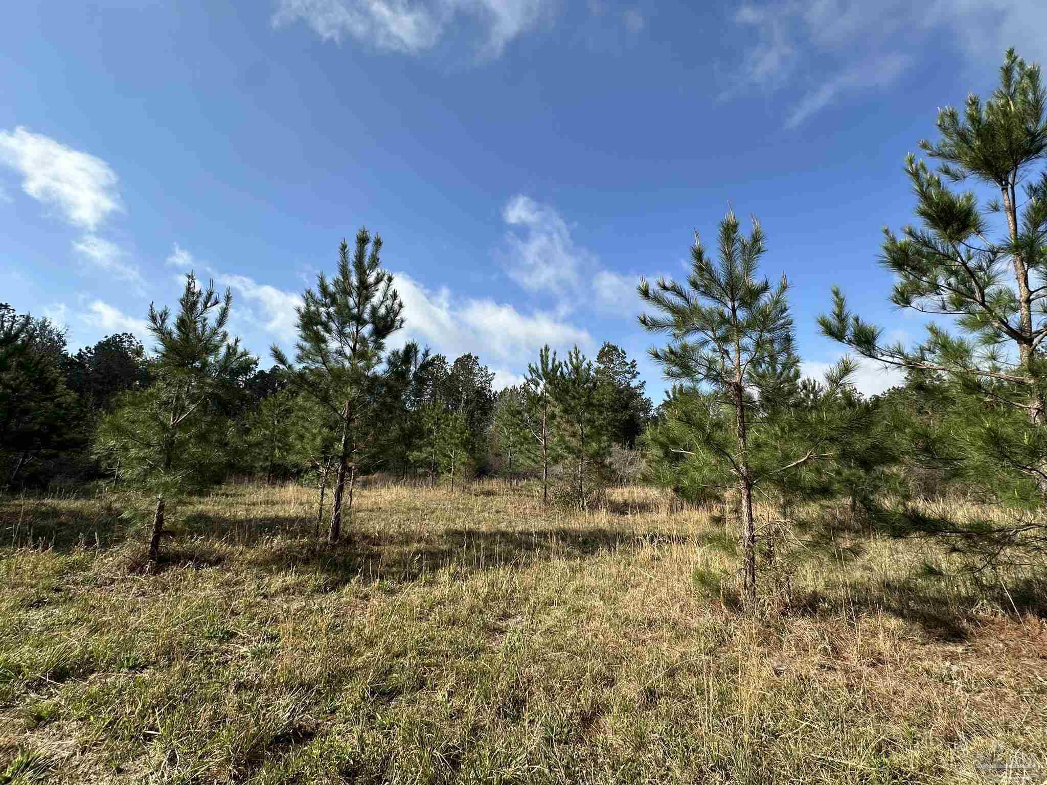 Photo 1 of 13 — 7+/- ac Snider Rd, Frisco City, AL 36445