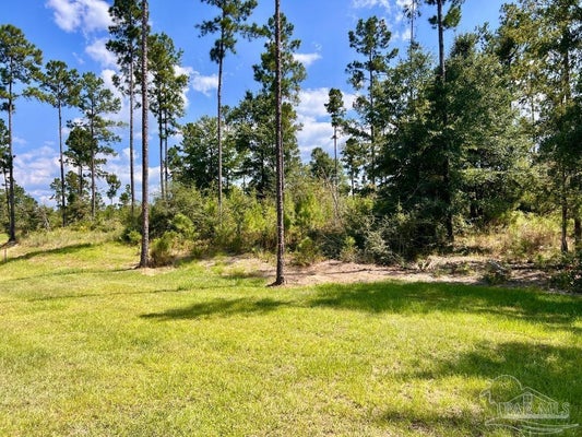 MORGAN LN, MOLINO, FL 32577 - Image 6f7e111aefc8263e61dbbe4761cc71fa/2734716041