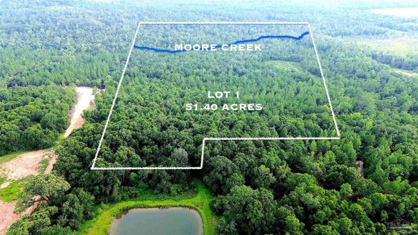 MINERAL SPRINGS RD, JAY, FL 32565 - Image 7204ee1e4ce13005fa86b78eea6174bb/3365088824