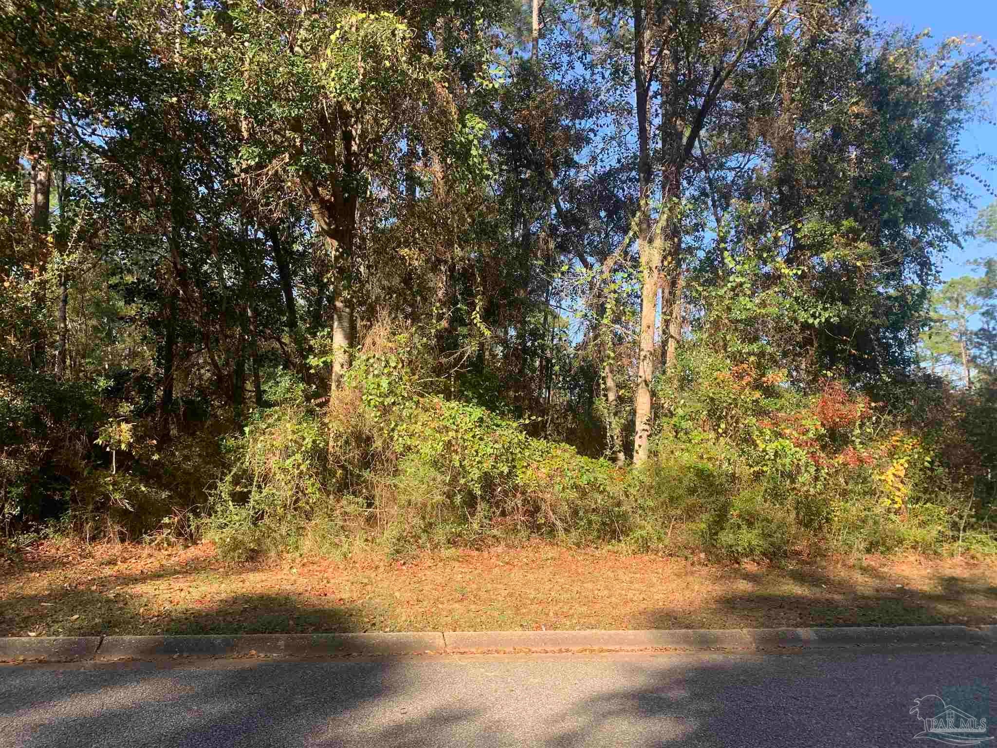 Photo 1 of 4 — 2737 Ashbury Ln, Cantonment, FL 32533