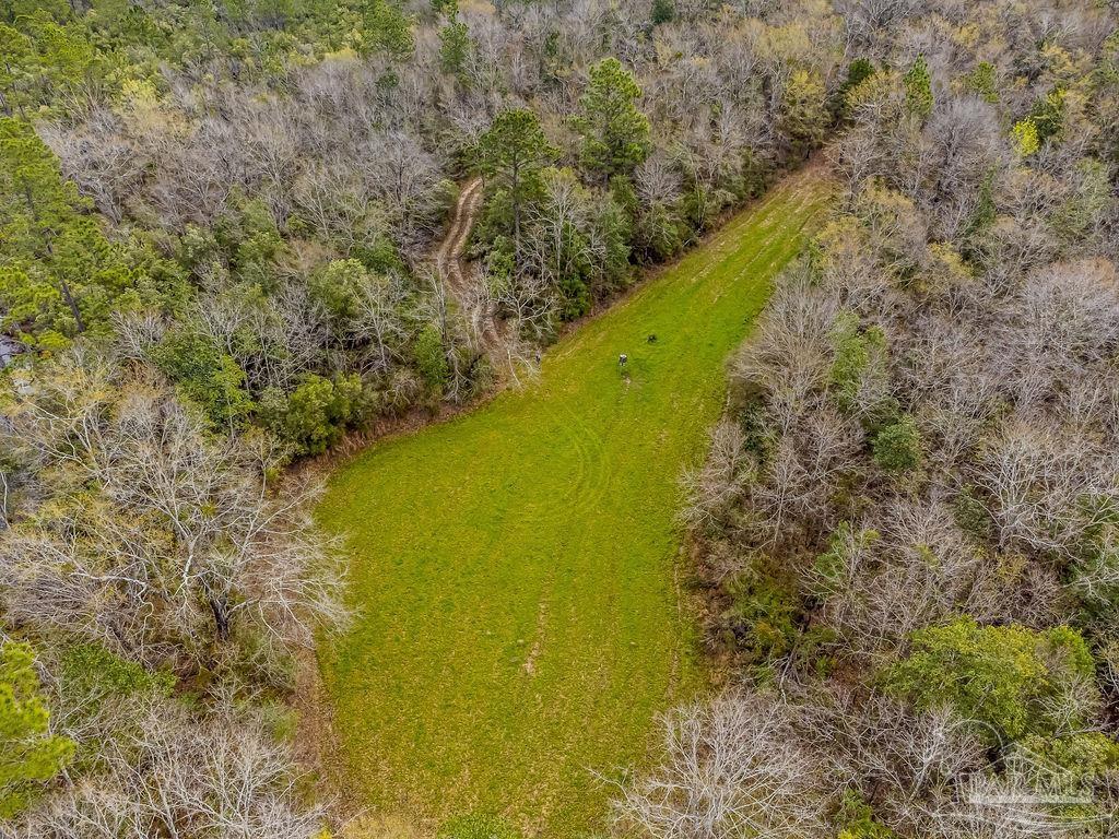 Photo 1 of 27 — 35.71 ACRES Wallace Lake Rd, Pace, FL 32571