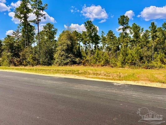 MORGAN LN, MOLINO, FL 32577 - Image 7f1230faab2c43e22f8bb85dfc889ede/2853522193