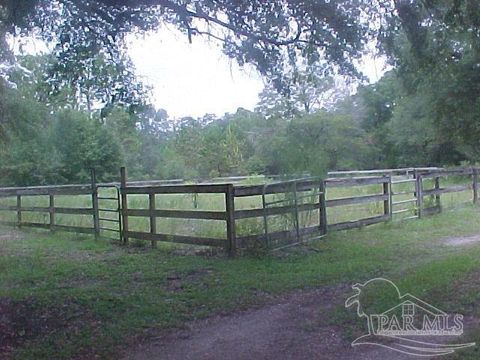 A home in Holt