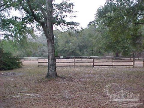 A home in Holt