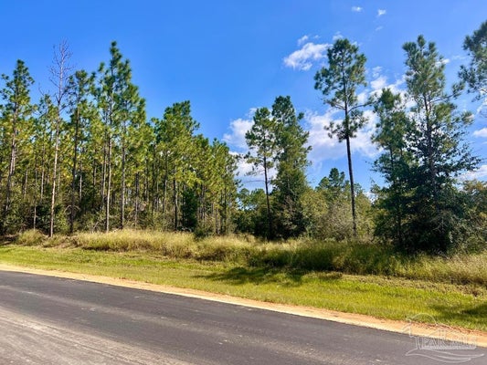 MORGAN LN, MOLINO, FL 32577 - Image 8cb953e0fcb73e6c3fee4f0f2c71650c/719926971