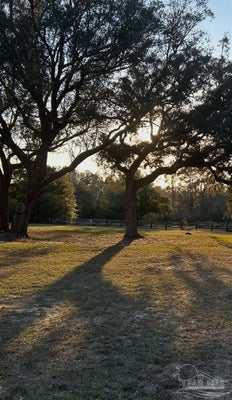 8251 WESTERN WAY DR, PENSACOLA, FL 32526 - Image 8cd7fc6098a9cb17a459cf6c1aabf062/873715212