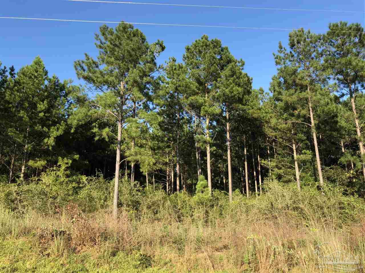 Photo 1 of 5 — Lot HSW Gin Rd, Pace, FL 32571