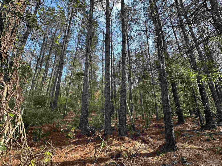 Photo 1 of 8 — 1.1 ac Snider Rd, Frisco City, AL 36445