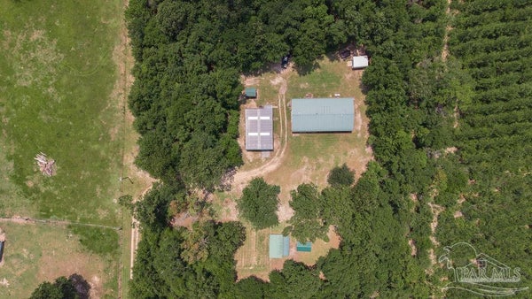 3101 BREASTWORKS RD, MC DAVID, FL 32568 - Image a2dc1fca9527f1db4242d4e7a76bd37b/161251847