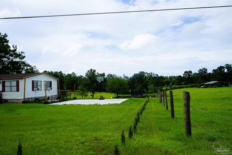 A home in Molino