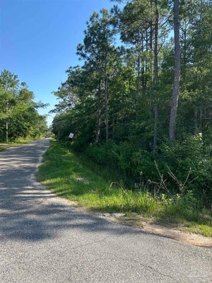 0002 DICKERSON CITY RD, BAGDAD, FL 32583 - Image b52d8954031872854e49bbfcbc5e350e/1069459941