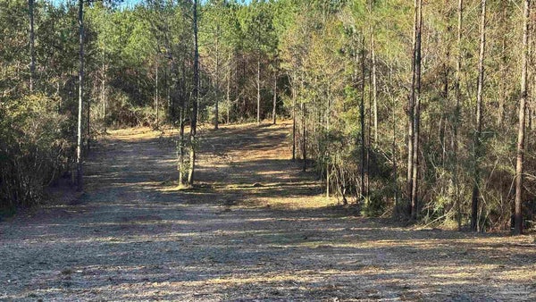 EMERALD DR, MILTON, FL 32571 - Image cdecd4f6eb723cff2bfb579232747fb4/2716177418