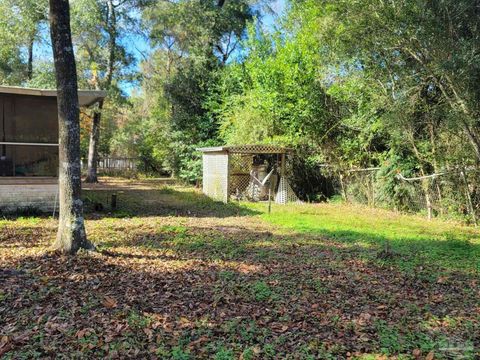 A home in Tallahassee