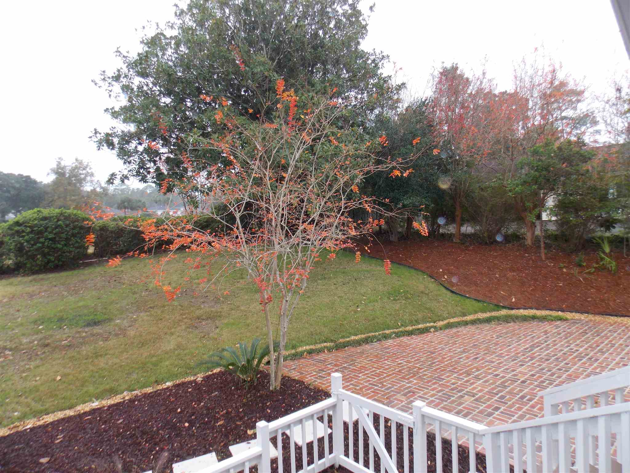 Photo 44 of 50 of 8853 Scenic Hills Dr house