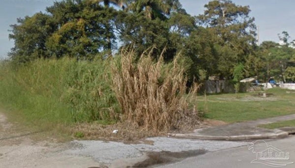 12537 LAKESHORE DR, CANAL POINT, FL 33438 - Image e2bd9fdbccfe336259ca3fbf61862730/2859534687
