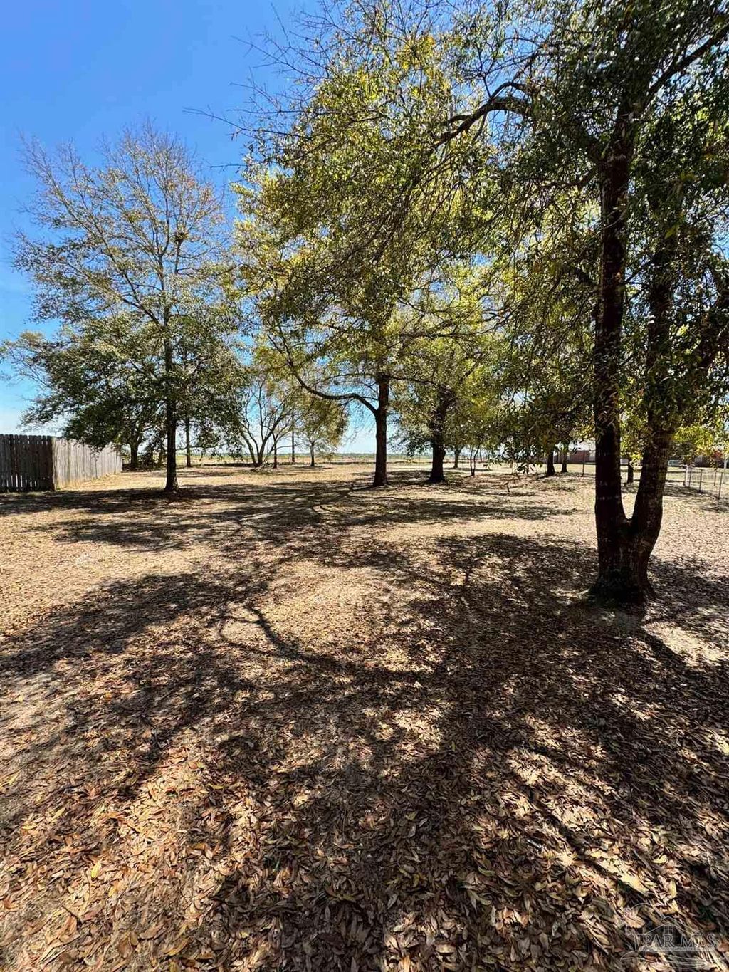 listing image 47