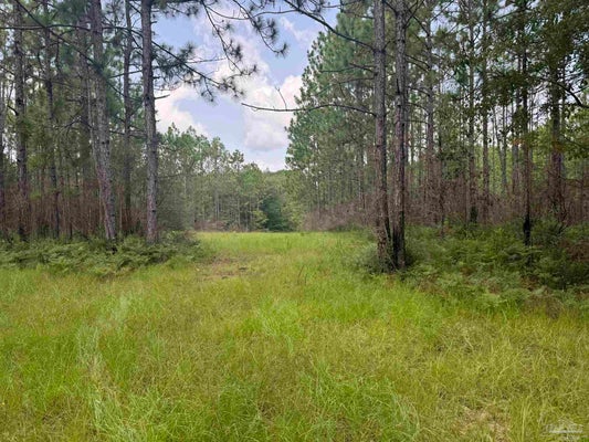 NOKOMIS RD, MCDAVID, FL 32568 - Image ecab590efcda5501aa3248d4836c8f22/3748807313