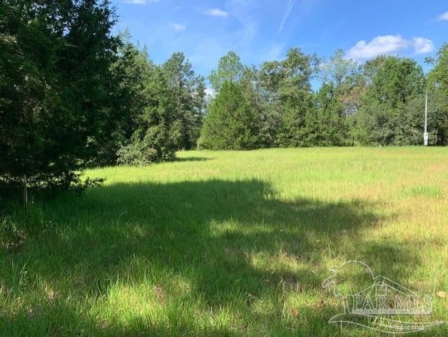 Photo 1 of 18 — 6445 Barrineau Ln, Molino, FL 32577