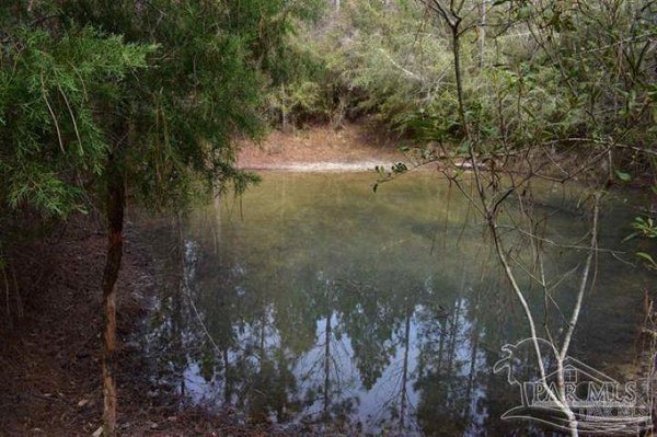 PAT BROWN RD, MILTON, FL 32570 - Image fc9a79d3a795b1a116a4a1be19b4dcd3/2662051991