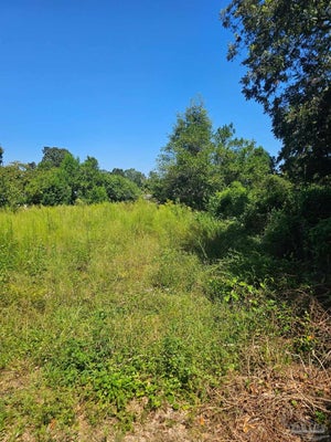 7025 BITTERSWEET DR, PENSACOLA, FL 32506 - Image fddc8ab1472b165c2ab2dbe449f159c9/2476905346