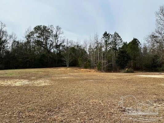 8800 N CENTURY BLVD, CENTURY, FL 32535 - Image fe45f6772da538d942e21bb7552d78d3/2447475975