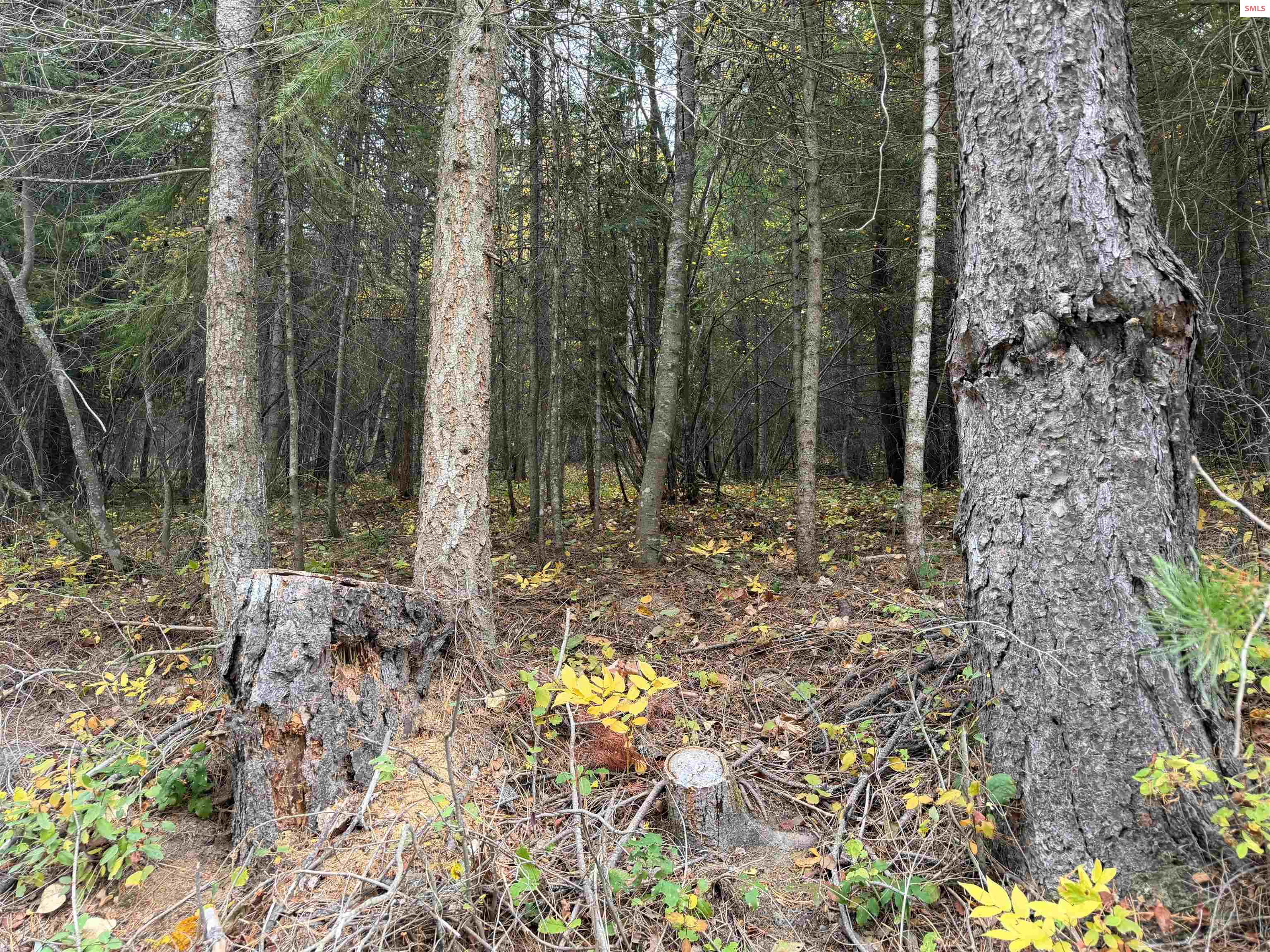 Photo 1 of 5 — Nka Parker Canyon, Bonners Ferry, ID 83806