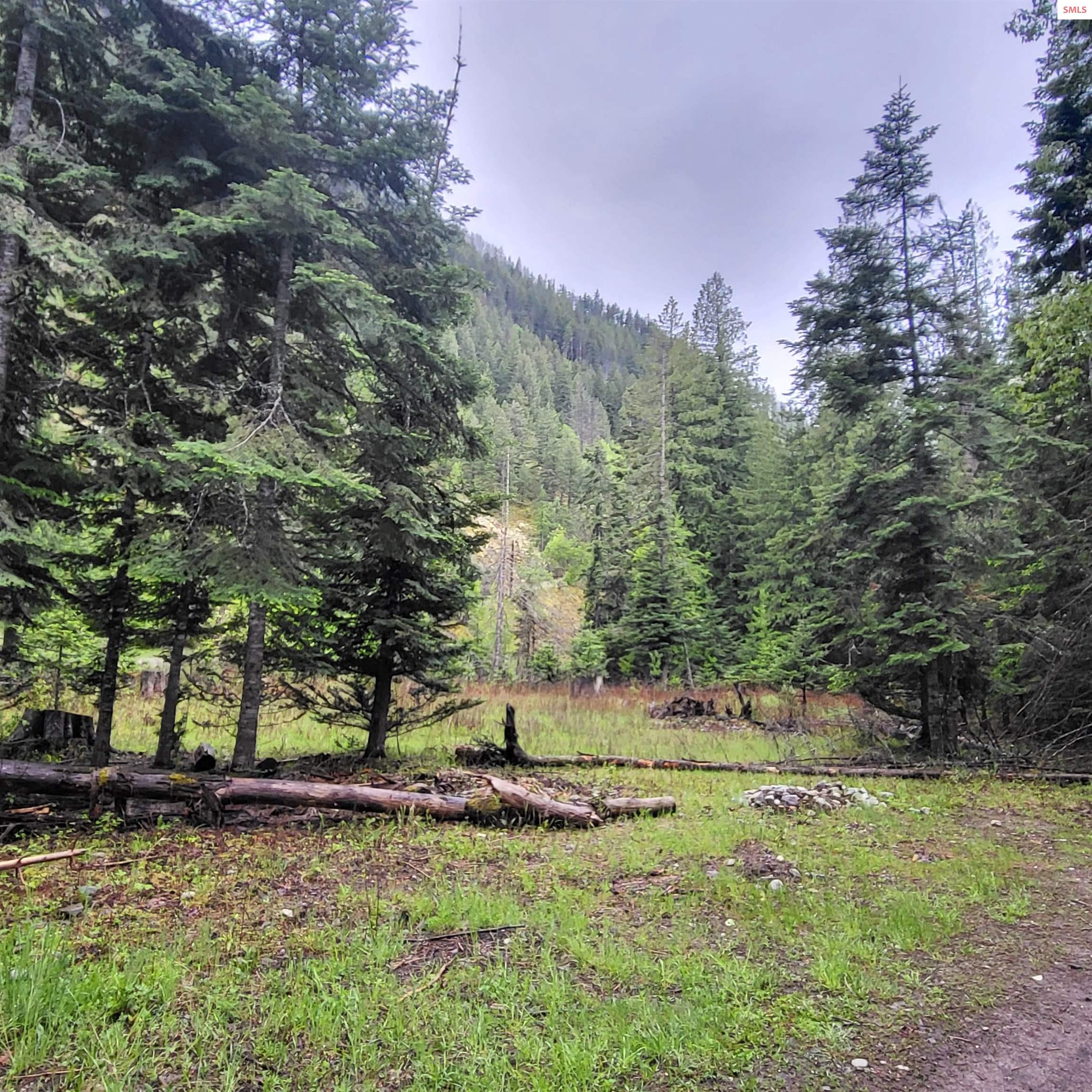 Photo 1 of 13 — nna Silver Ave, Bayview, ID 83803