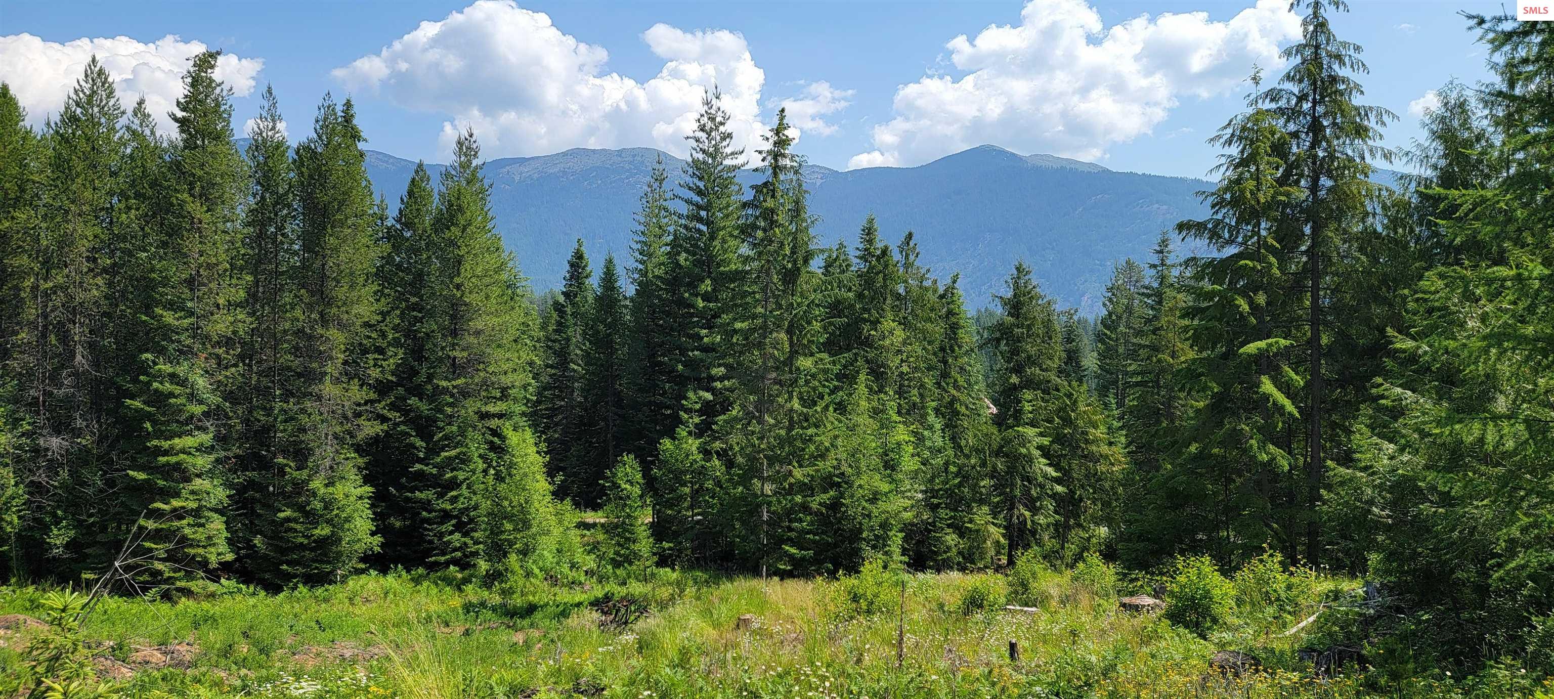 Photo 1 of 13 — NNA Enchanted Lane - #3, Bonners Ferry, ID 83805