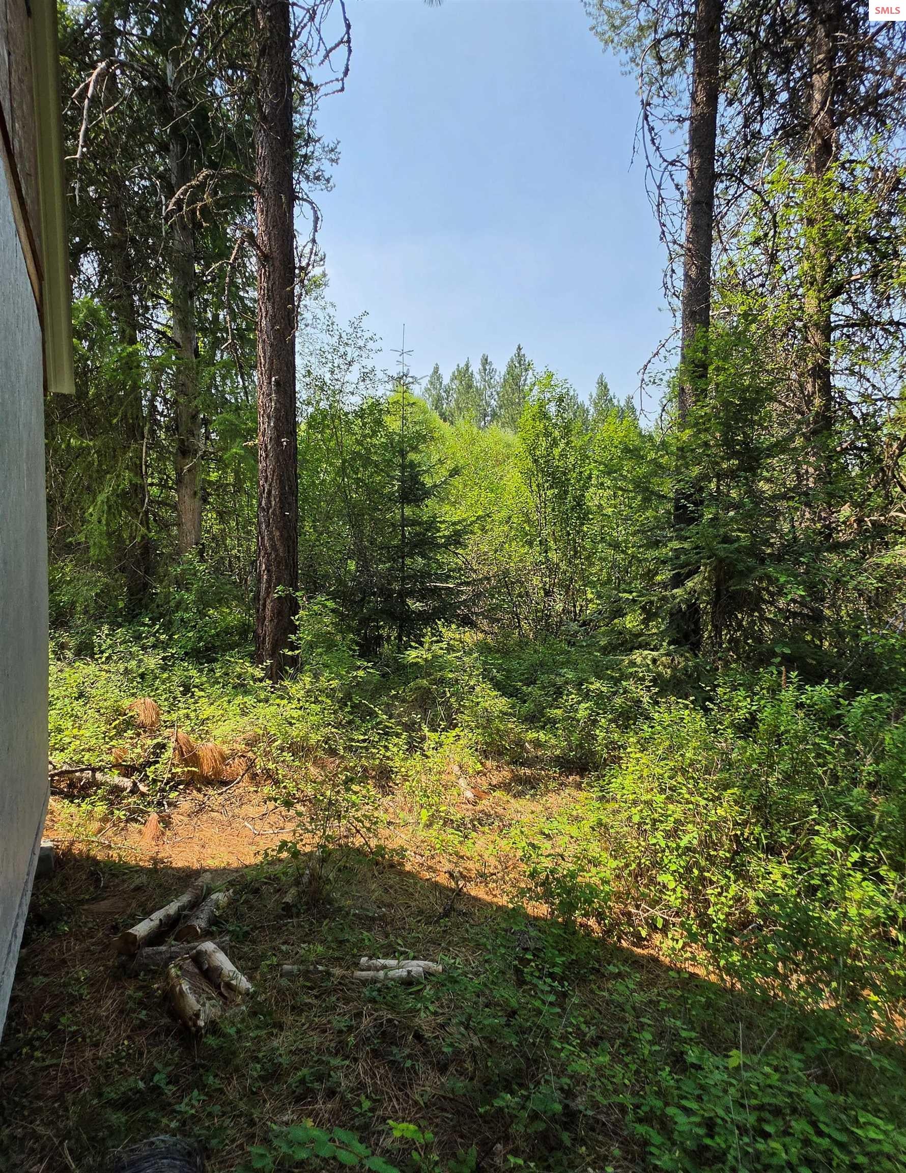 NNA HWY 20 & McCloud Creek - Photo 2